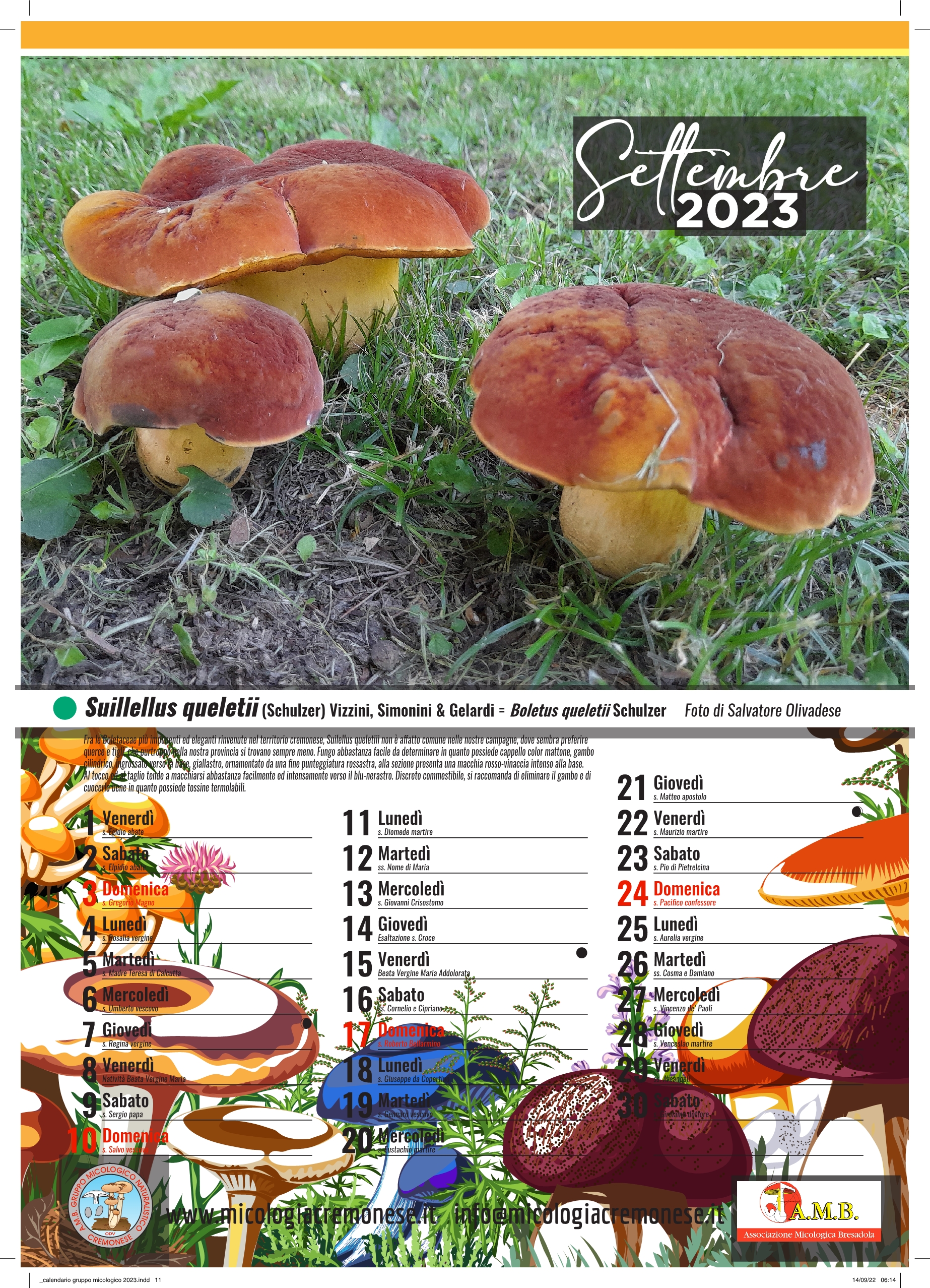  calendario gruppo micologico 202311