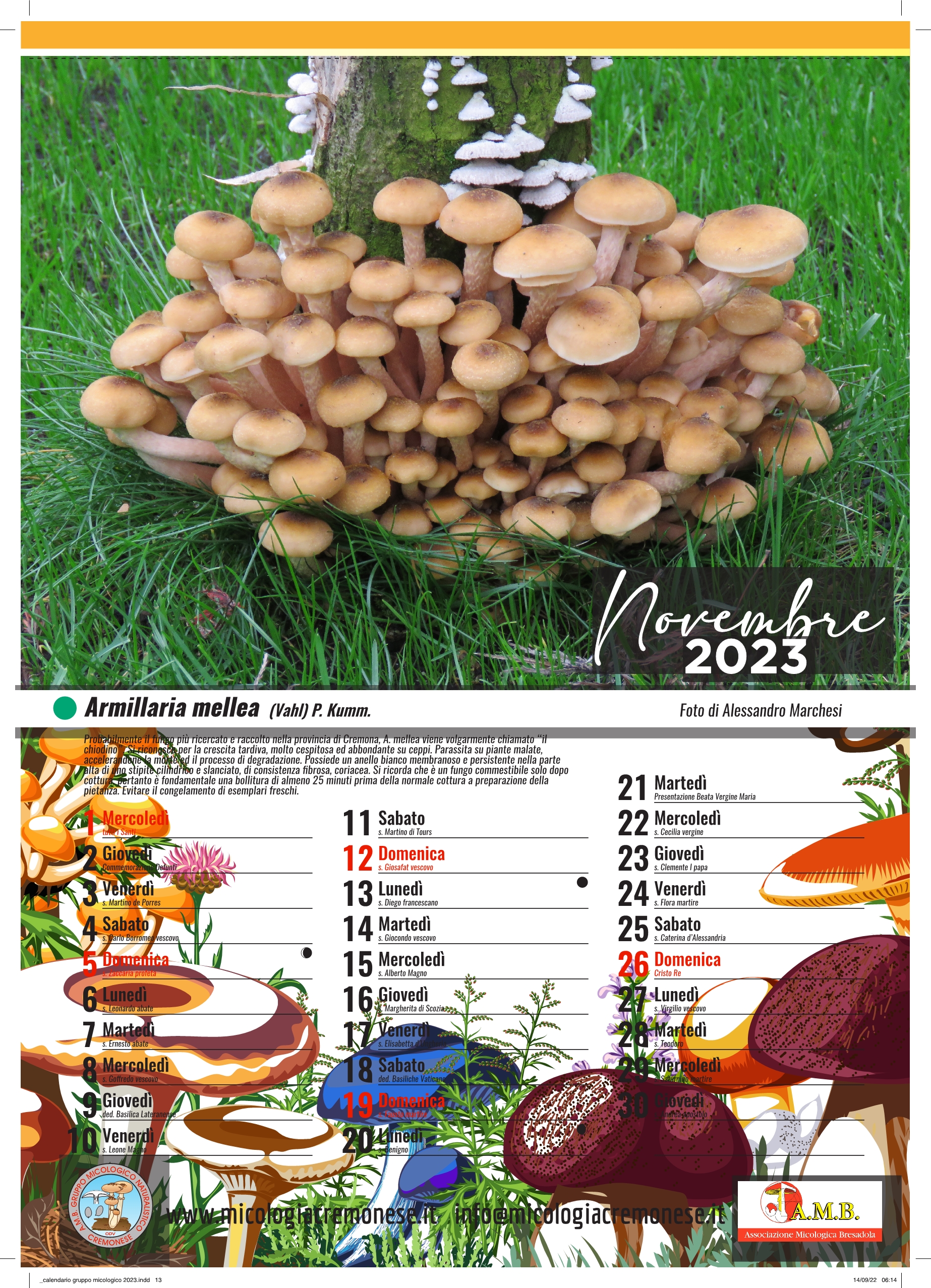  calendario gruppo micologico 202313