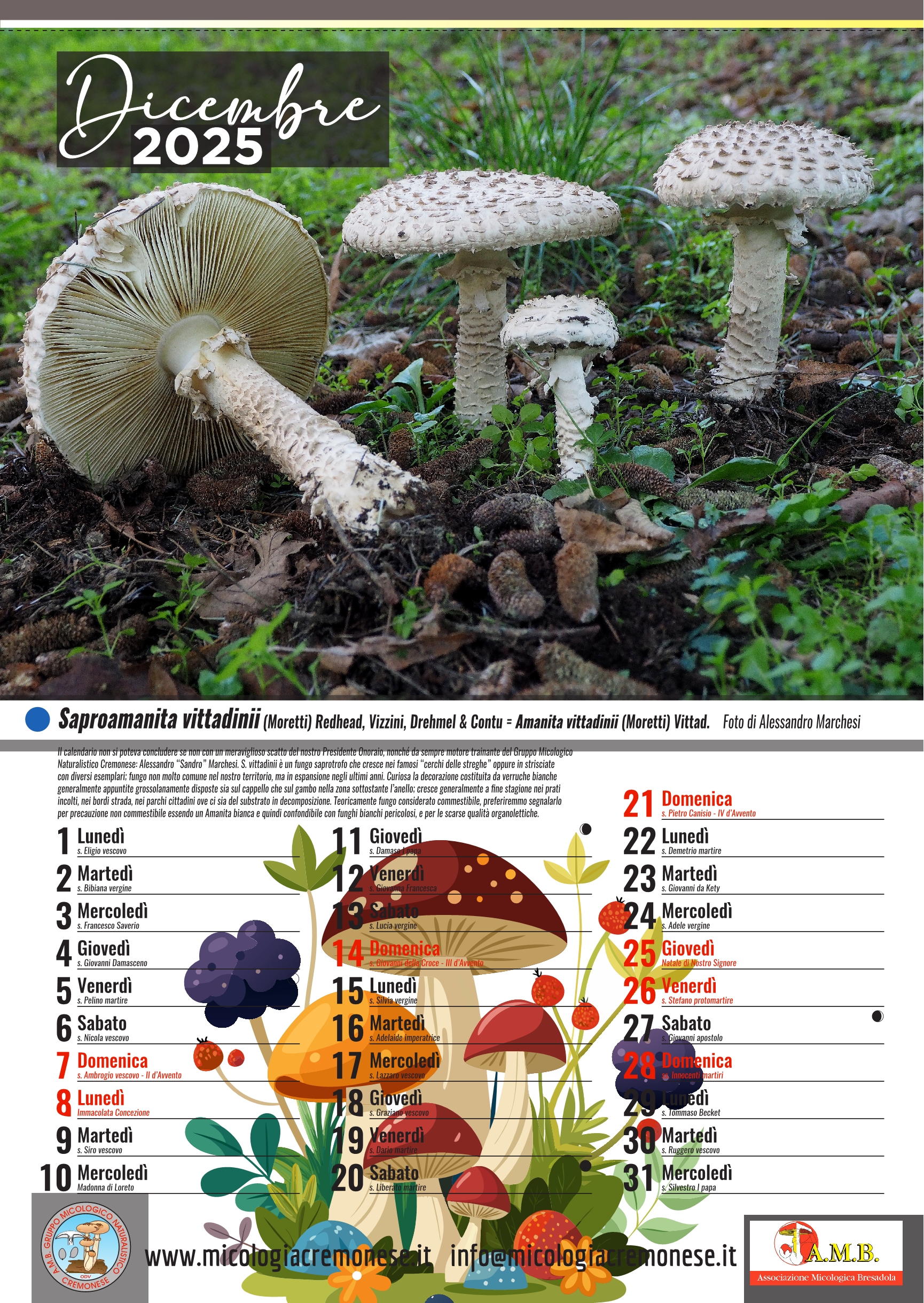 calendario gruppo micologico 202514