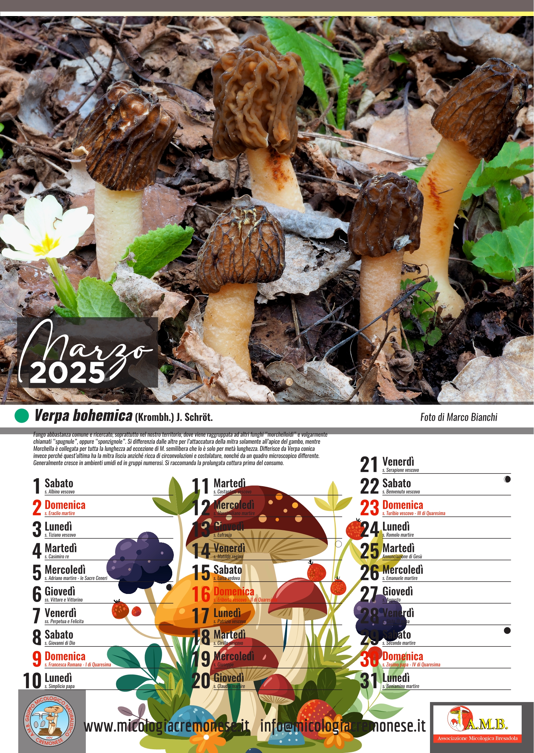  calendario gruppo micologico 20255