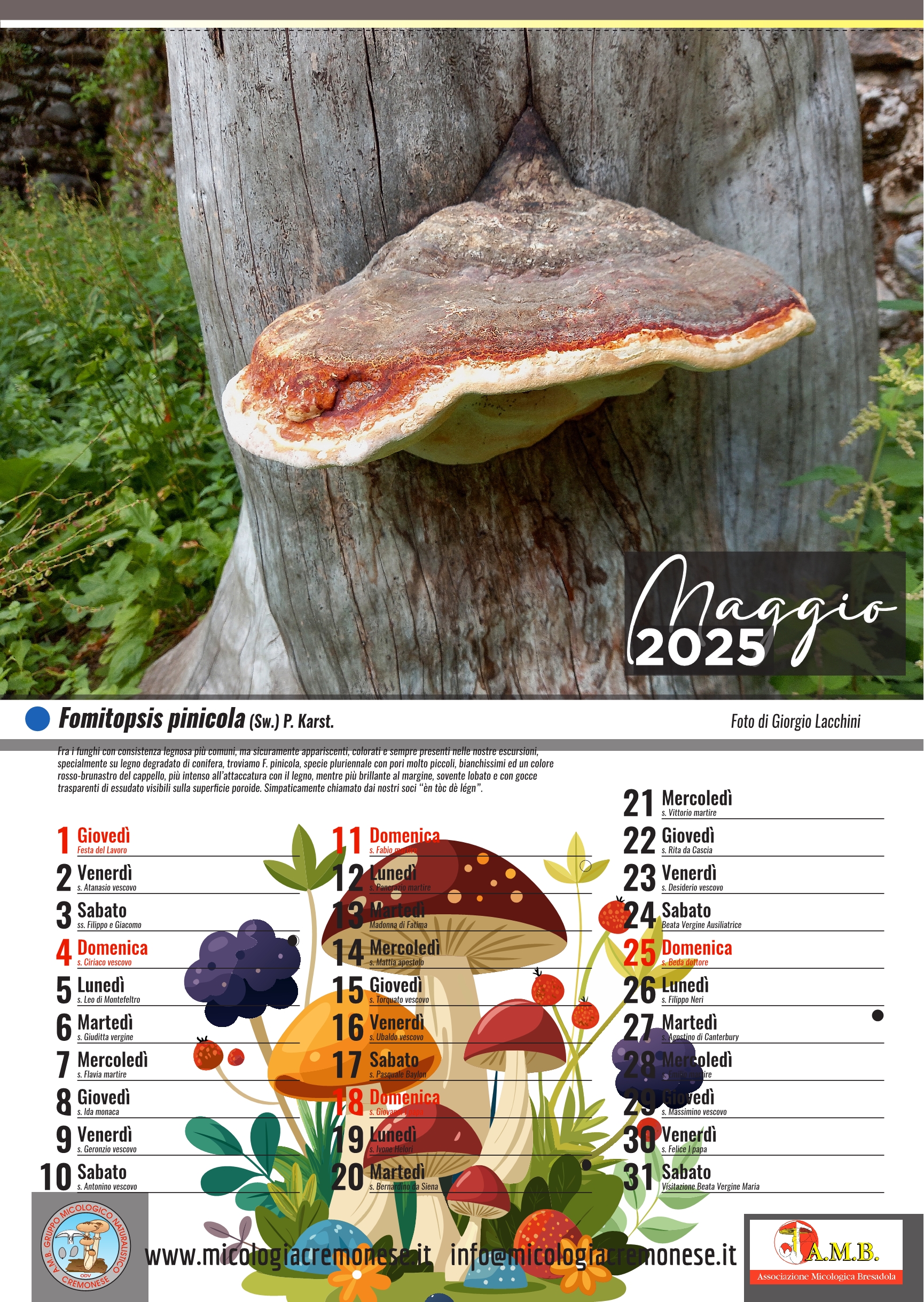  calendario gruppo micologico 20257