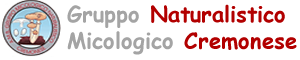 Logo Micologico