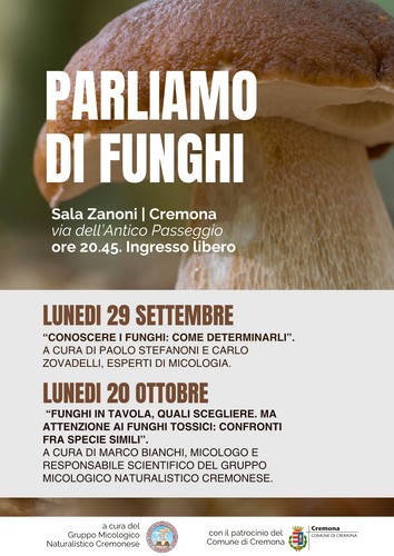 FUNGHI 20251 Copia