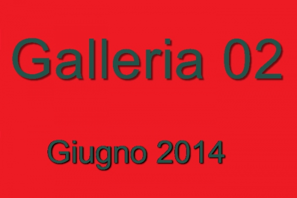 2014-02-giugno76FB1980-0AC0-2BBB-E88D-8705F297A077.jpg