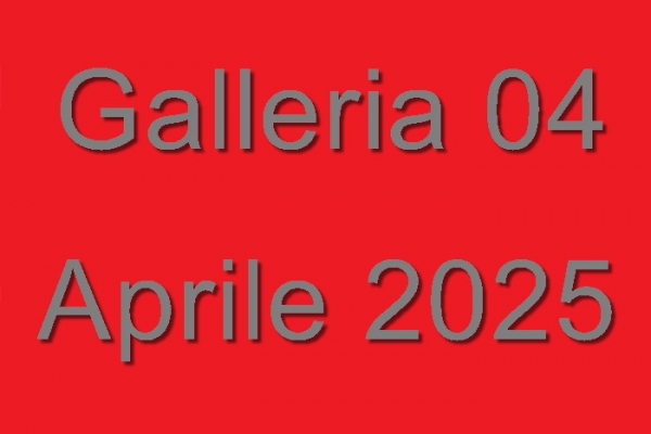 2025-04-aprile261A0671-32E0-531D-F3AA-C61324CCDF71.jpg